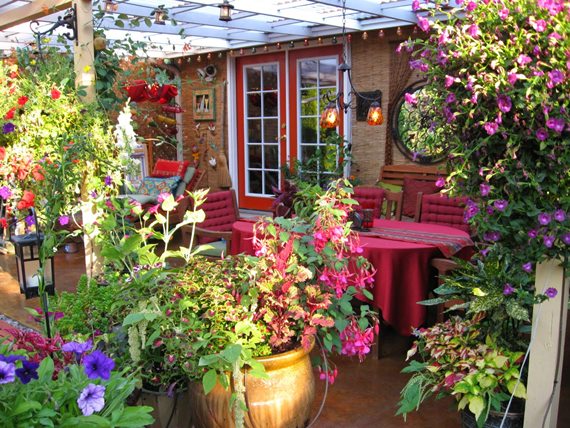 Tanaman Hias Outdoor Untuk Mempercantik Pekarangan Rumah Pesona Bunga